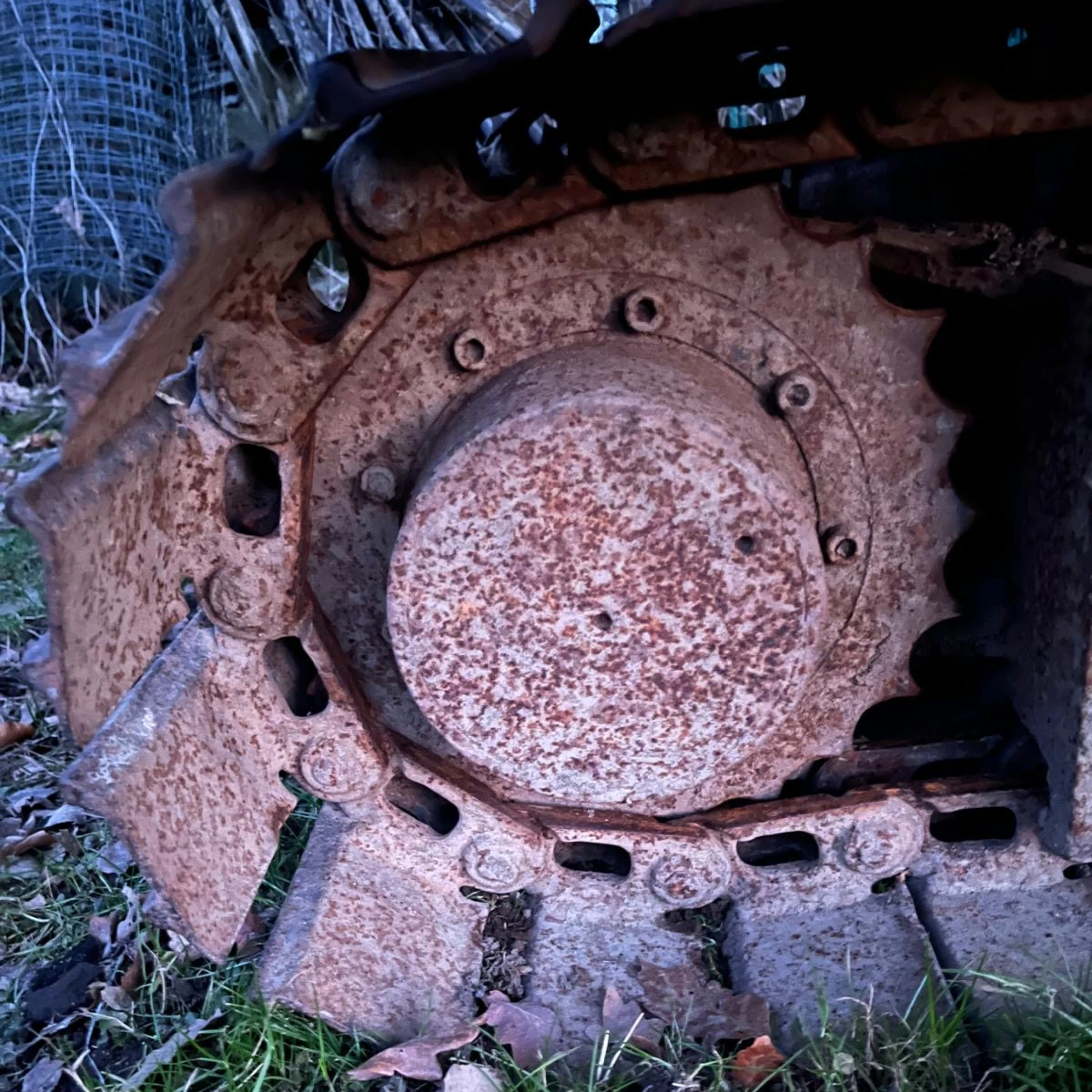 Turas Zähne unregelmäßig verschlissen