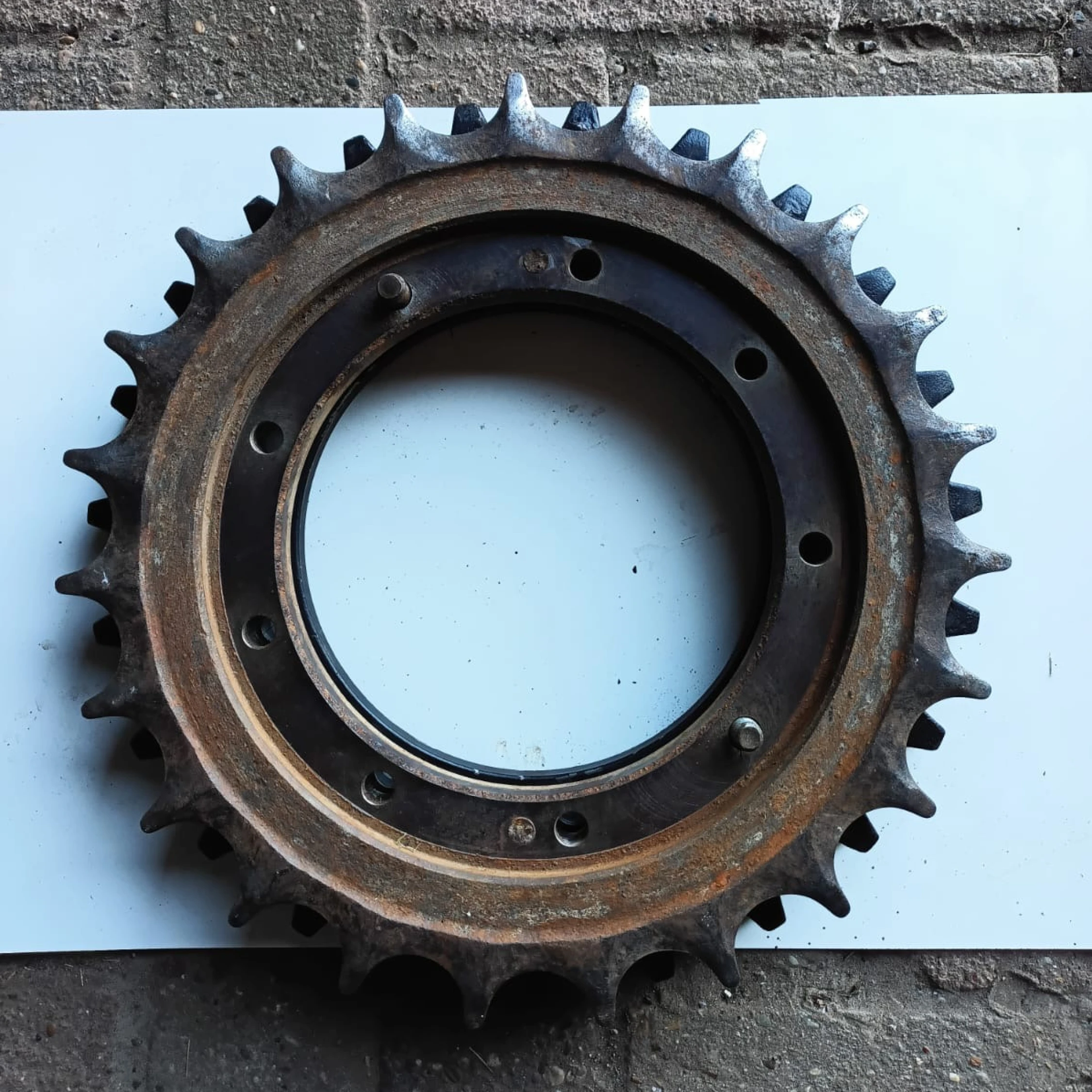 Turas Zähne wie Sägeblatt